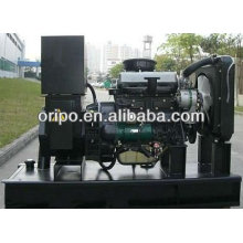 Venta de bajo precio del generador diesel de Yangdong con alternador de alta calidad